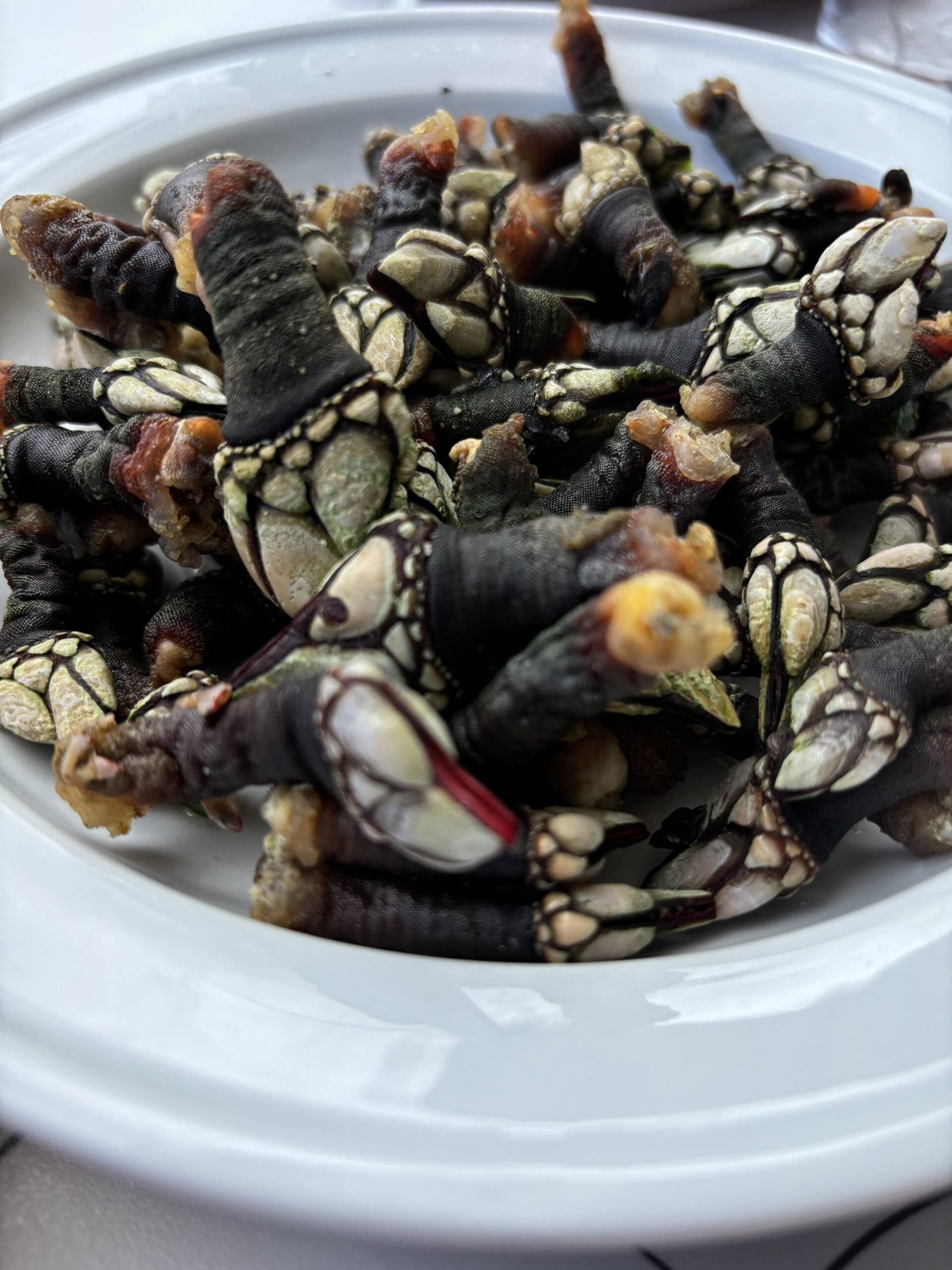 Receta de percebes cocidos: Viaja a San Andrés de Teixido